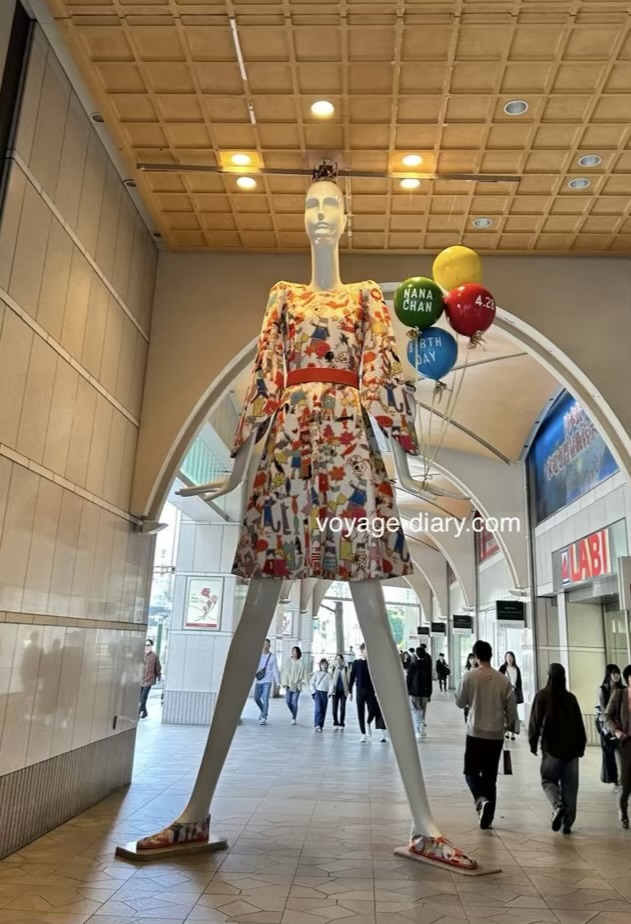 Img 337a077bd801 9 compressed